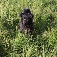 Urlaub im Allgäu (6)